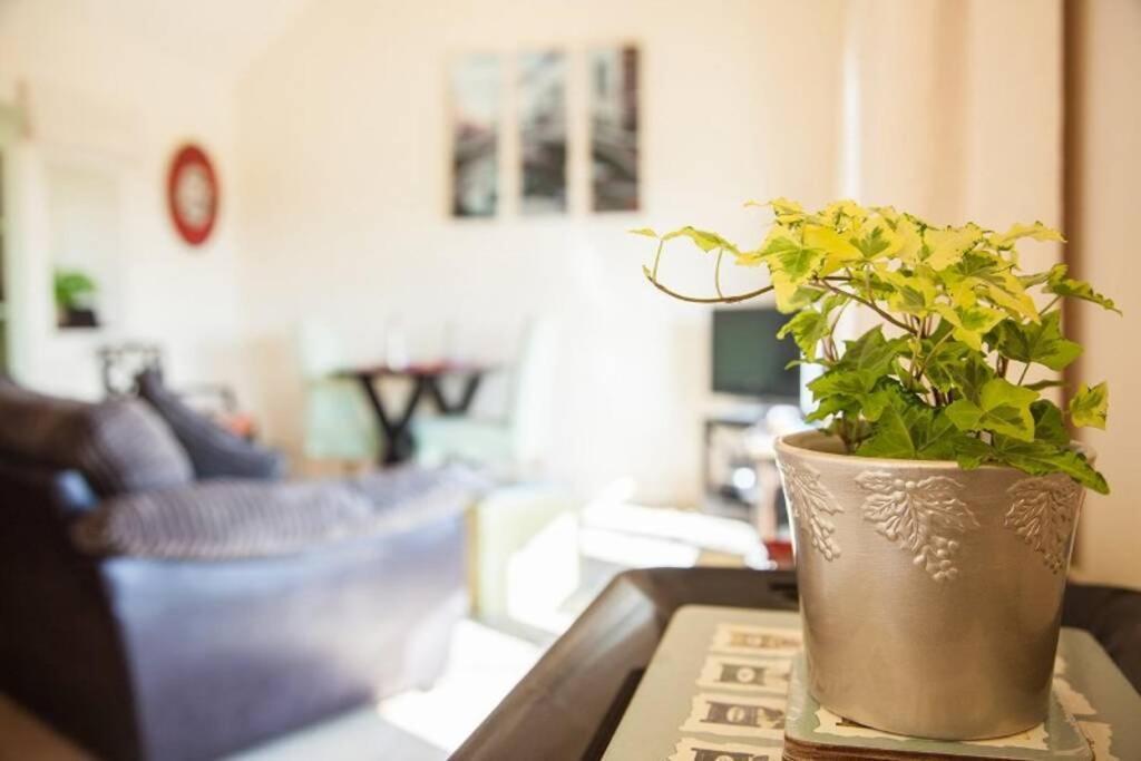 Kemble Secluded Romantic Cotswolds Barn - Sleeps 2 To 4 - Near Cirencester - Dog Friendlyヴィラ エクステリア 写真